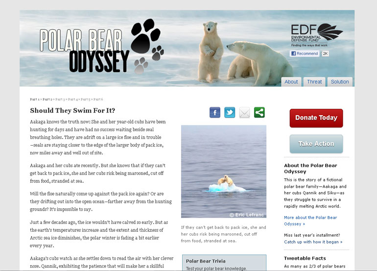 Polar Bear Odyssey
